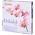 ТАРЕЛКА 31,5СМ ORKIDEH 36-304